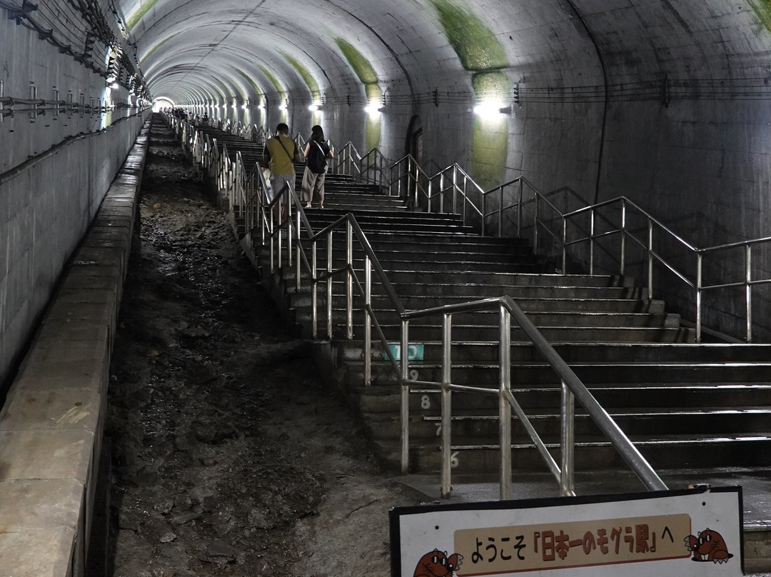 Doai Station景点图片