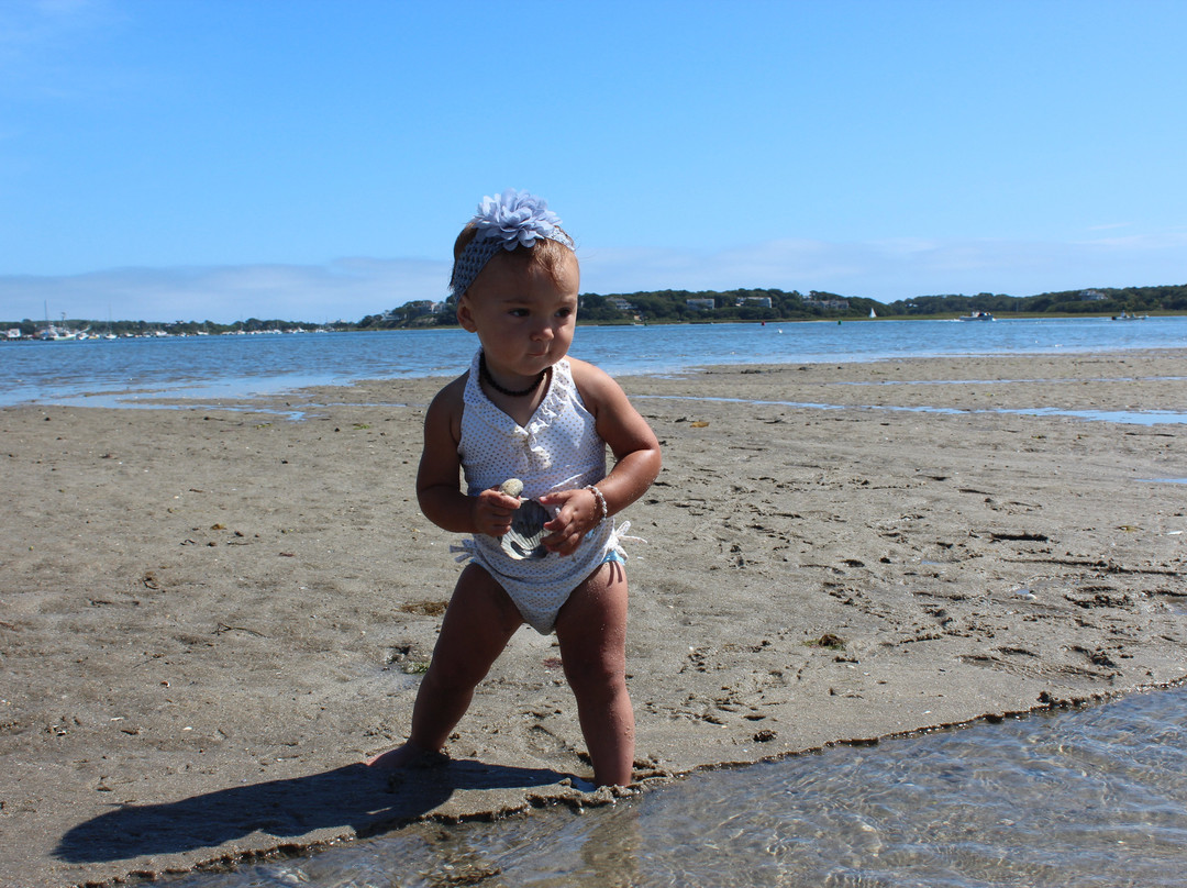 Chatham Boat Tours-查塔姆必去景点
