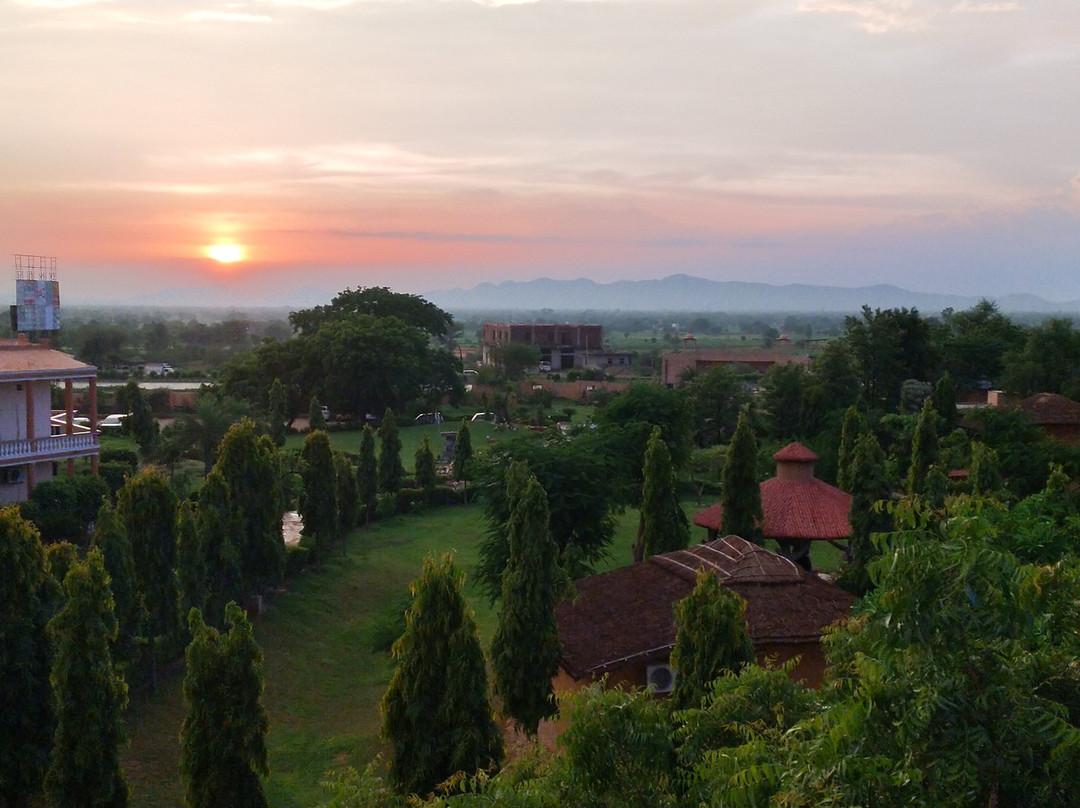 Treehouse Raj Mahal主图