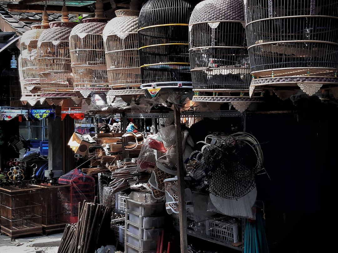 Yogyakarta Bird Market-日惹必去景点