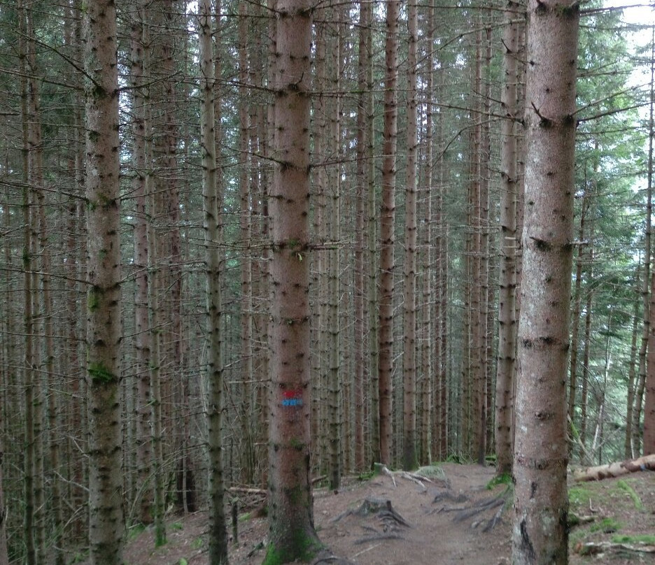 Nature Trail Kreklingen景点图片