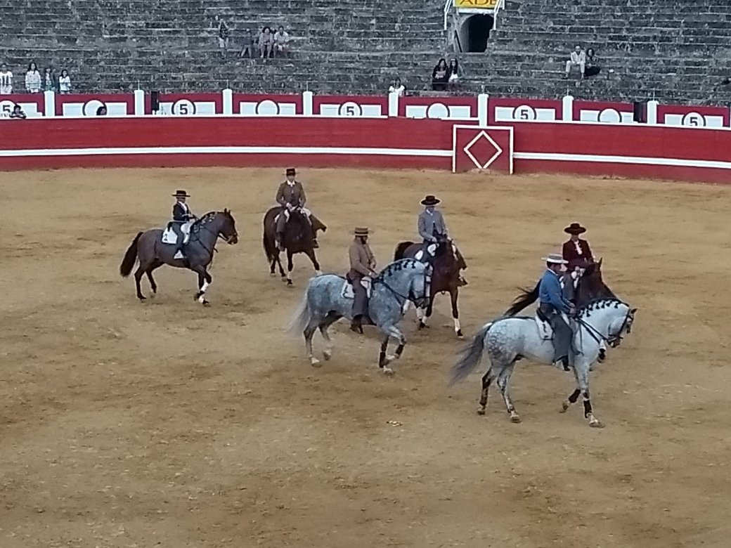 Plaza de Toros Los Rosales-哈罗必去景点