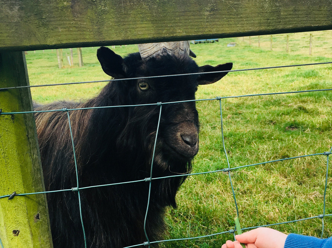 Newgrange Farm-Slane必去景点