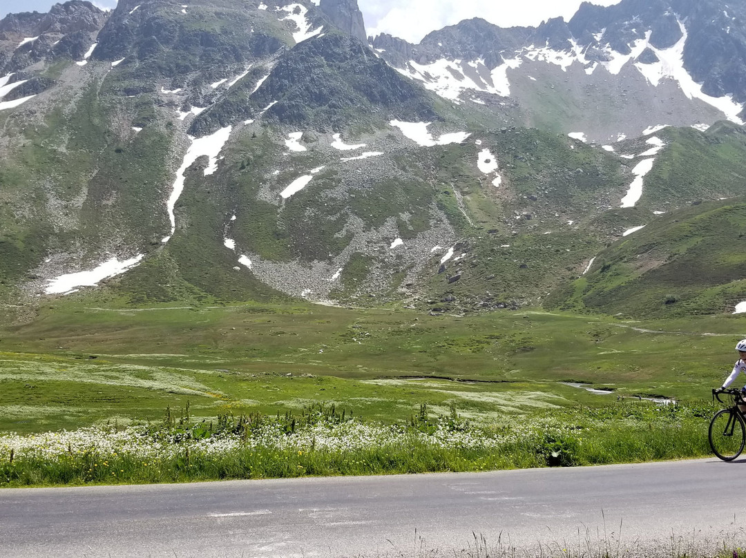 Alpine Cadence Cycling景点图片