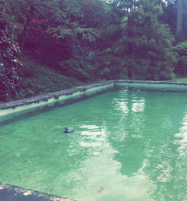 Lukesland Gardens-Ivybridge必去景点