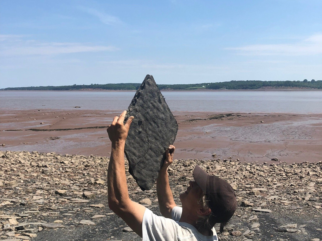 Blue Beach Fossil Museum-Hantsport必去景点