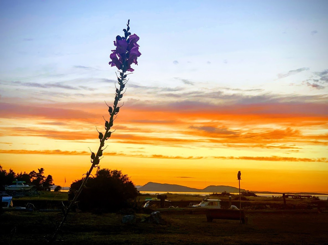 Smugglers Villa Resort主图