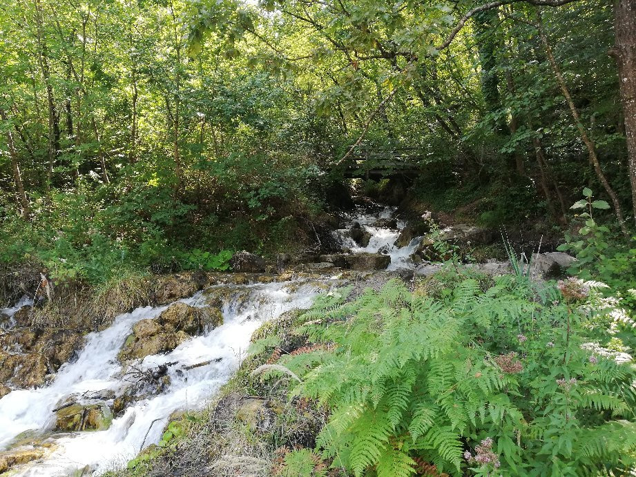 Fonti di Poiano景点图片