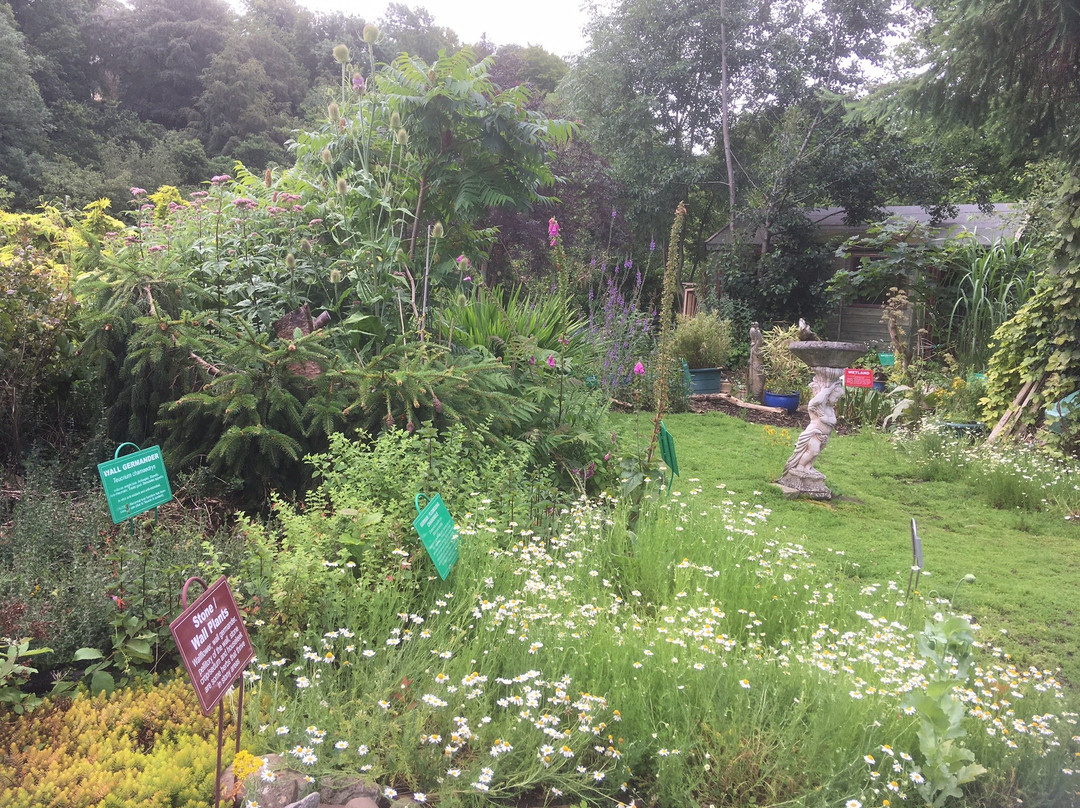 Dilston Physic Garden景点图片