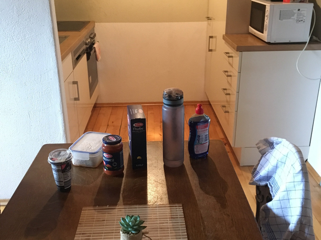 诗妮德牧场酒店