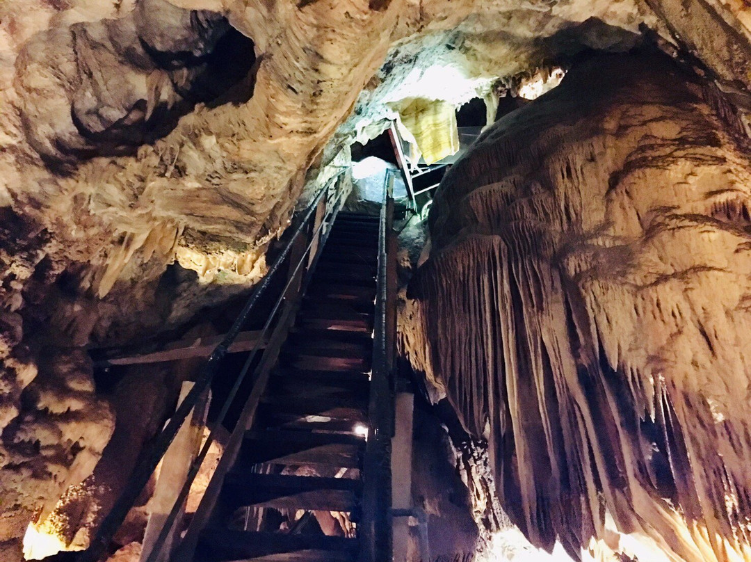 Moaning Caverns景点图片