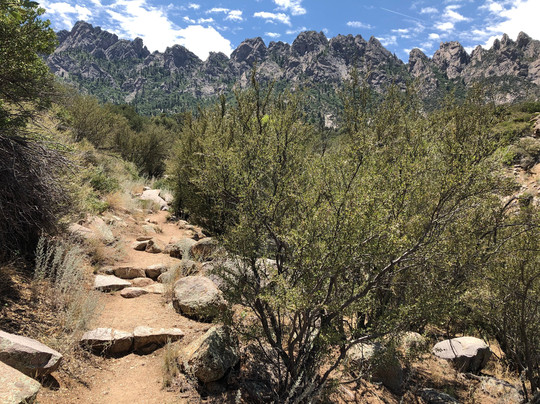 Aguirre Spring National Recreation Area-Organ必去景点