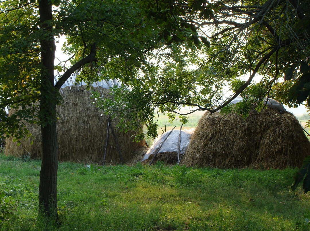 Literary-Memorial Museum-Estate of Lesya Ukrainka-Kolodyazhne必去景点