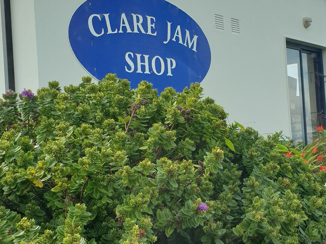 The Clare Jam Company-杜林必去景点