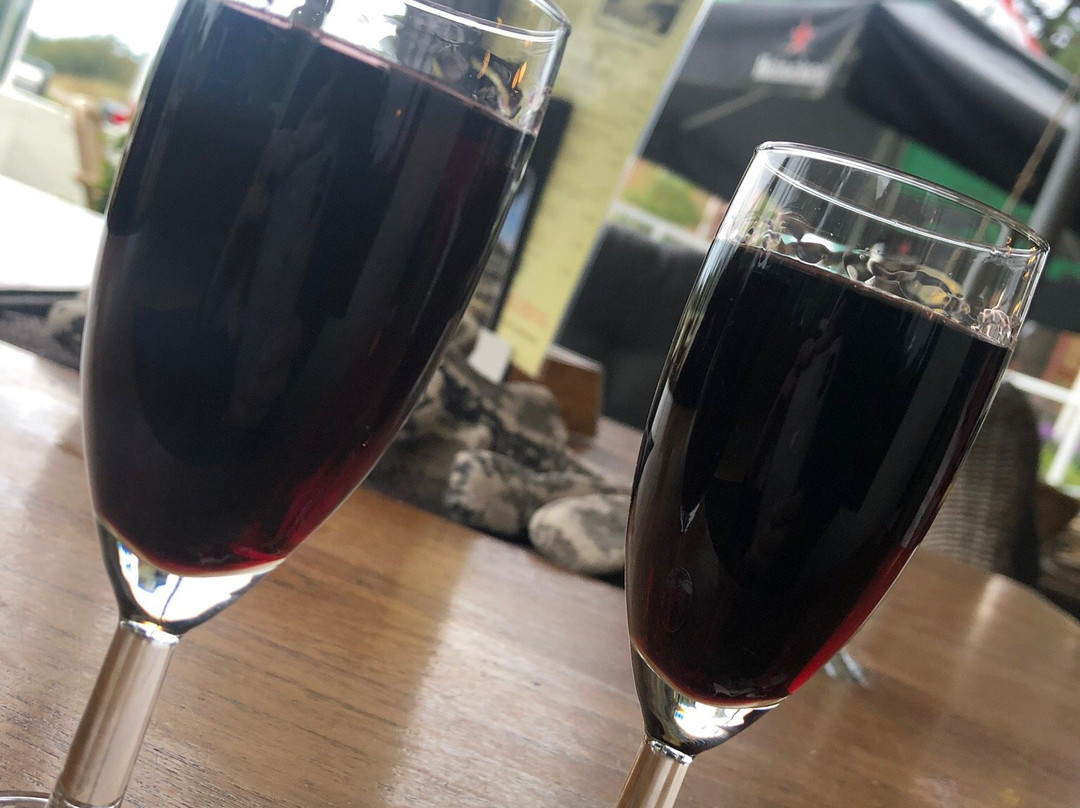 Hotel Duinzicht主图