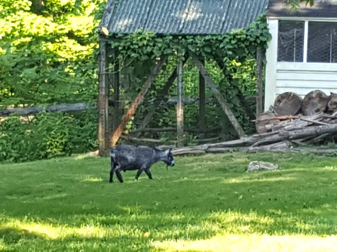 The Inn At Brandywine Falls主图