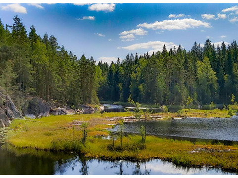 Lomi Nature Travels-赫尔辛基必去景点