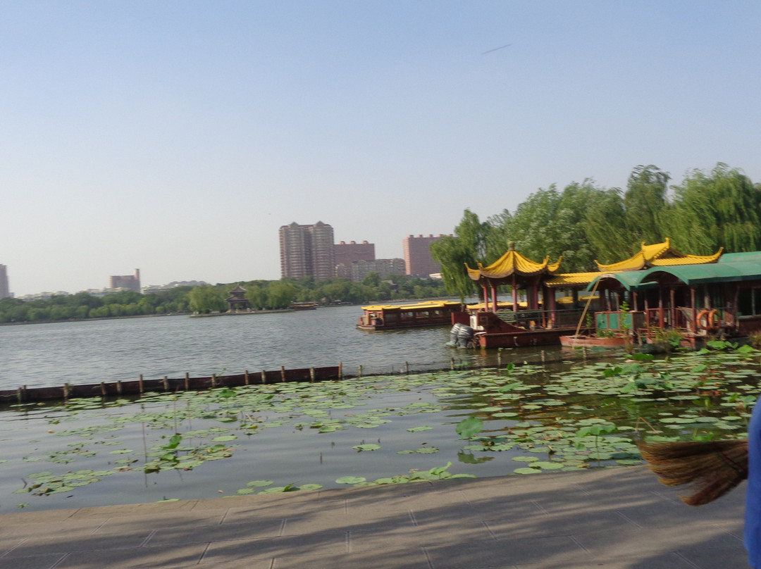 大明湖公园景点图片