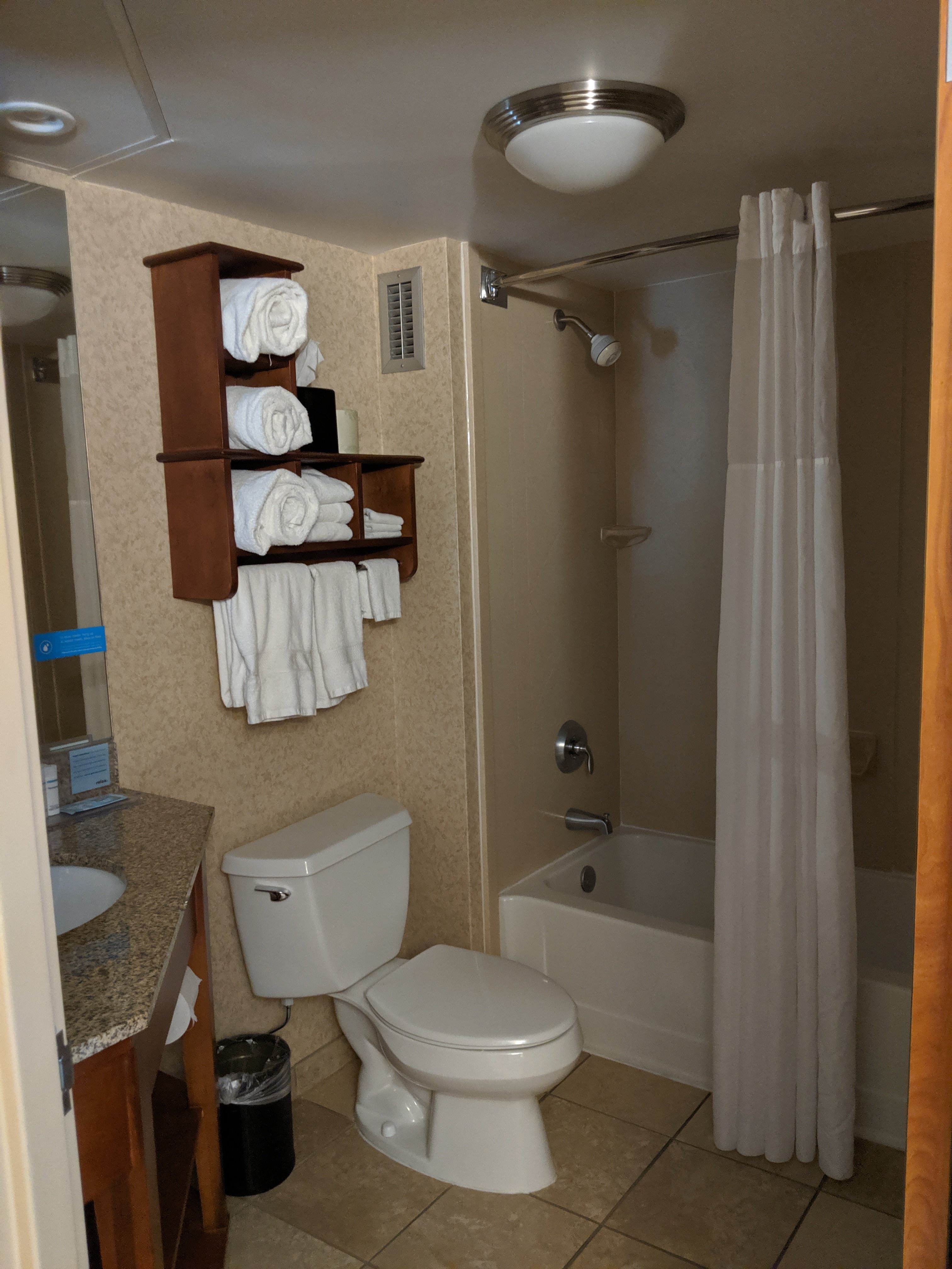 Hampton Inn & Suites Jackson-浴室