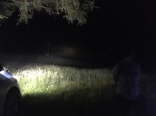 Resort Inn Larry主图