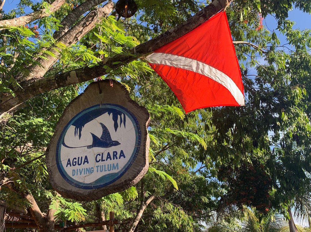 Agua Clara Diving景点图片