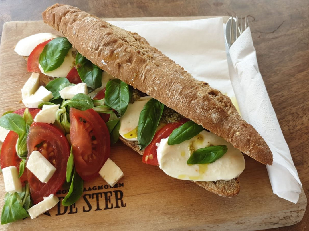 Houtzaagmolen De Ster-乌特勒支必去景点