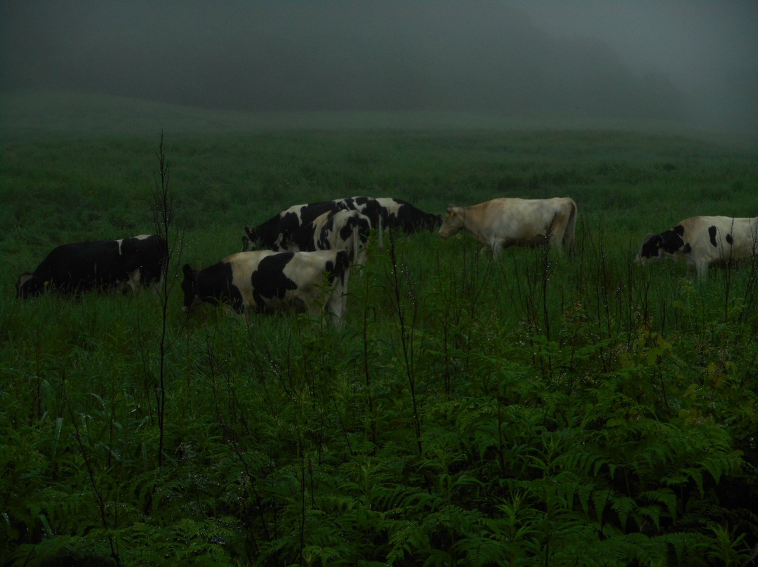 Nupukano Sato-士幌町必去景点