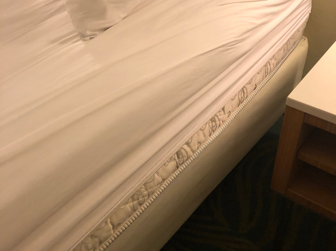 SpringHill Suites by Marriott West Mifflin主图