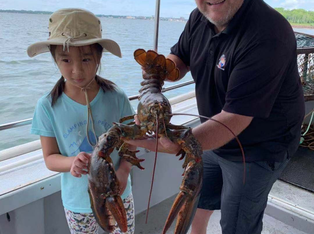 Top Notch Charters - Lobster Excursions景点图片