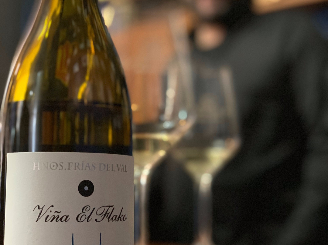 Villabuena Wine Tour景点图片