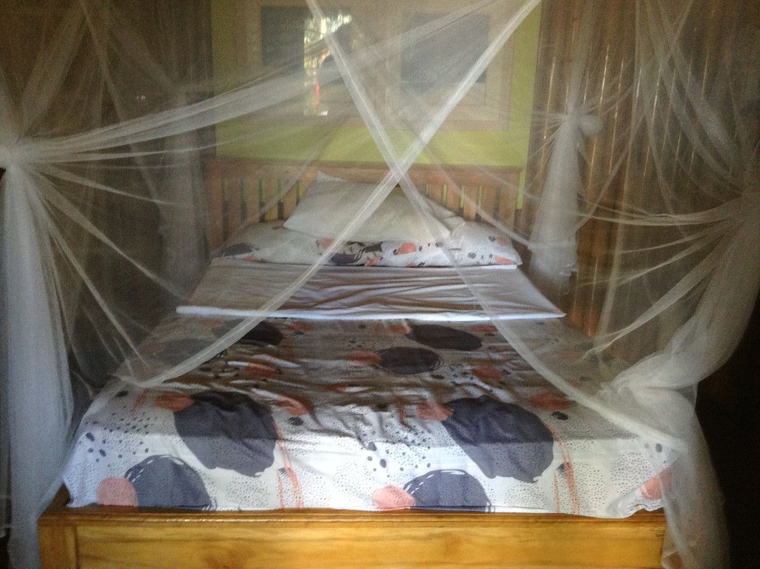 The Clara Beach主图