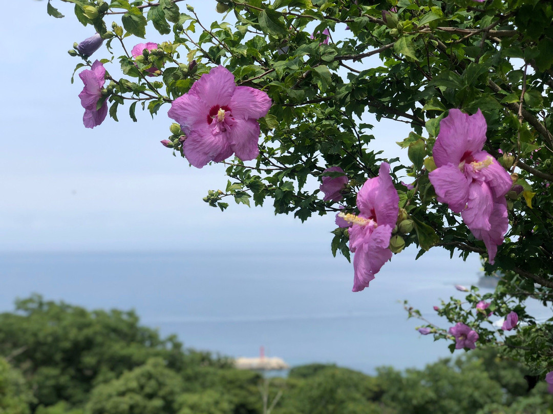 Kankoku Lookout-对马市必去景点