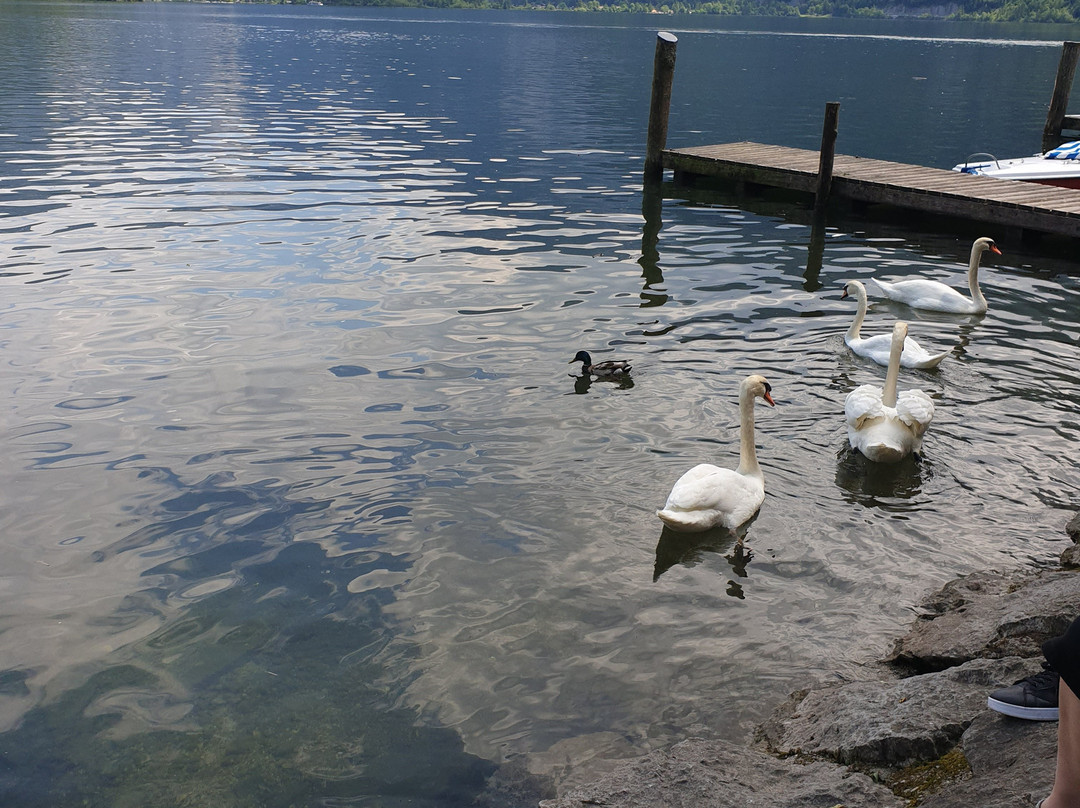 Hallstätter See-哈尔施塔特必去景点