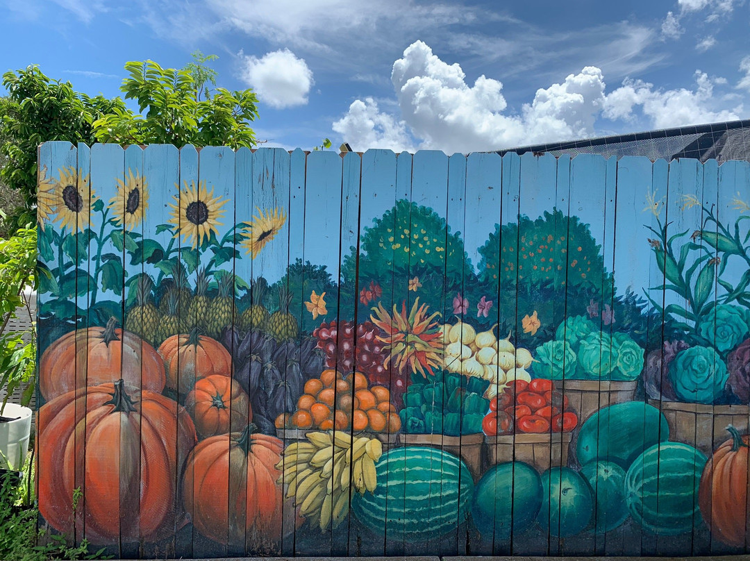 Red Barn Flea Market-布雷登顿必去景点