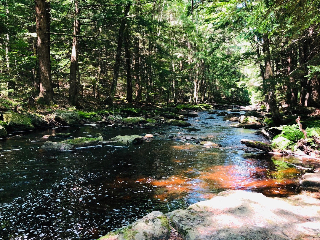 Wales Preserve-Sharon必去景点