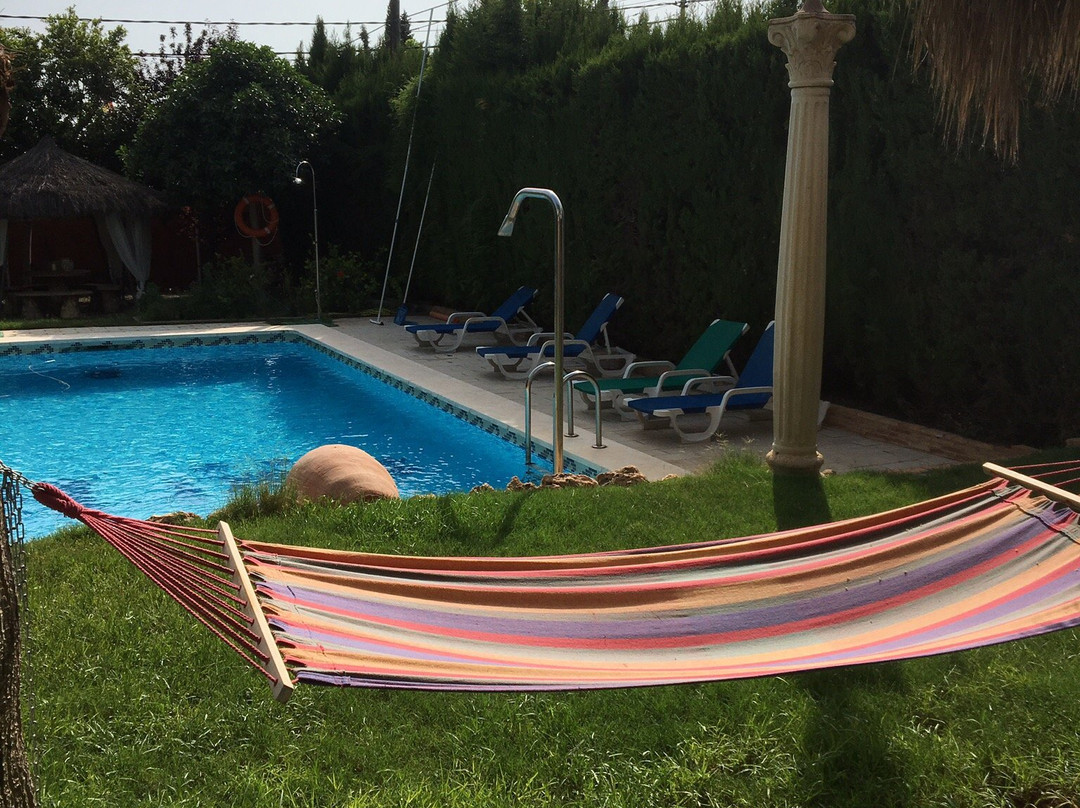 鸢尾花酒店主图