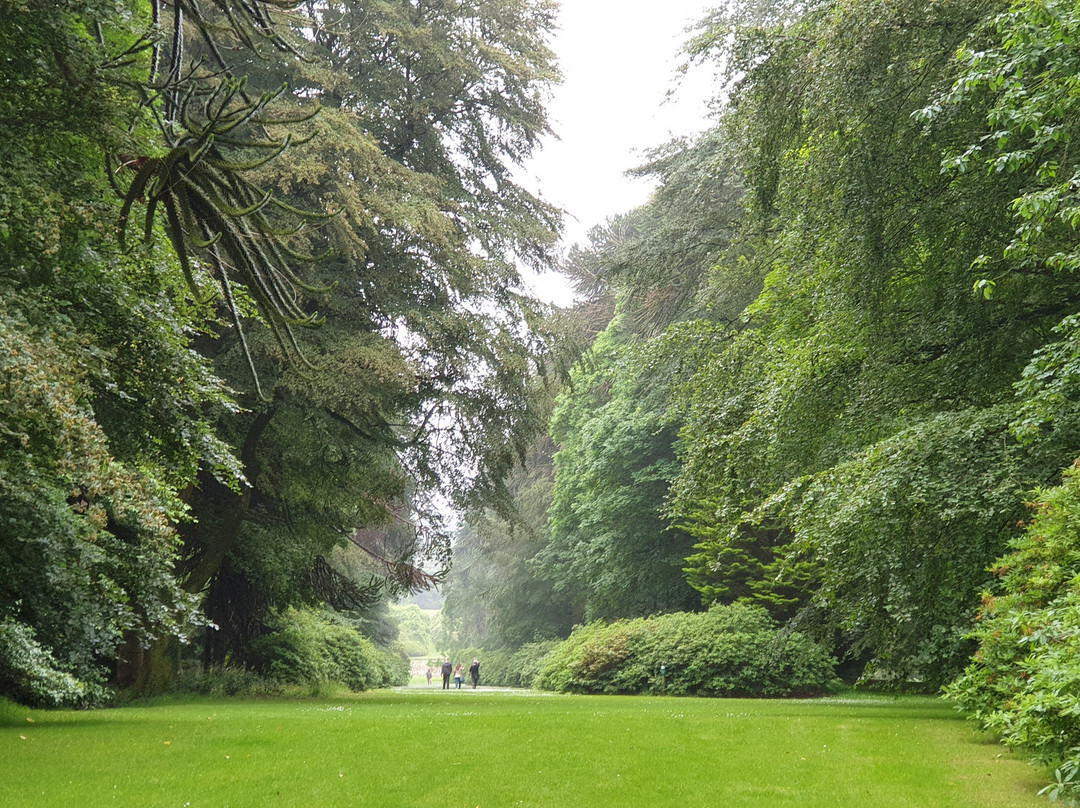 Castle Kennedy Gardens景点图片