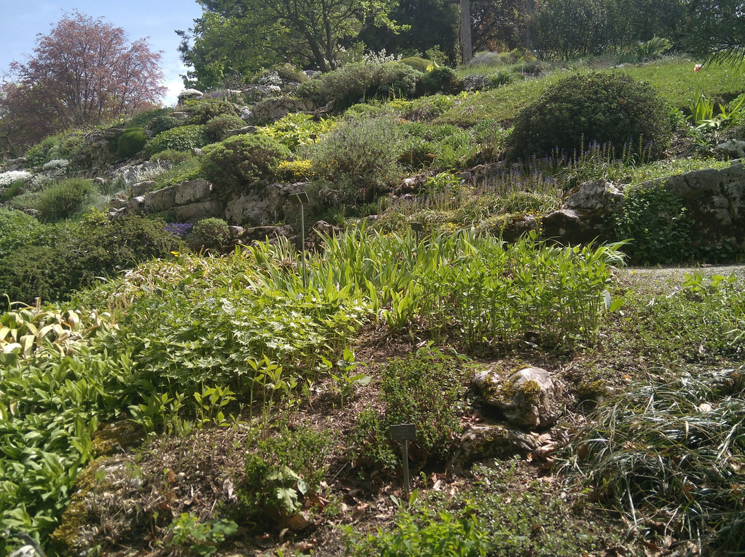 Jardin Botanique Lausanne-洛桑必去景点