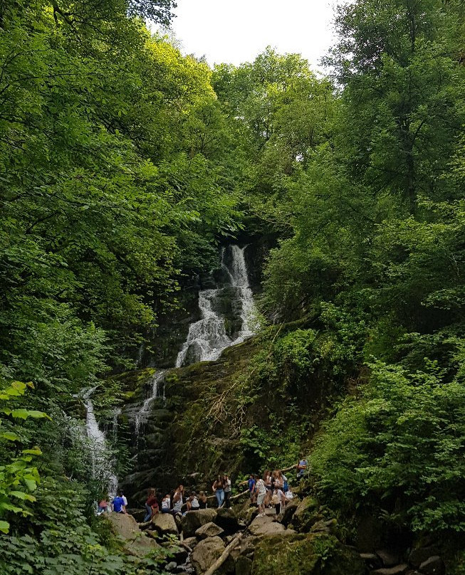 Paddywagon Tours-基拉尼必去景点
