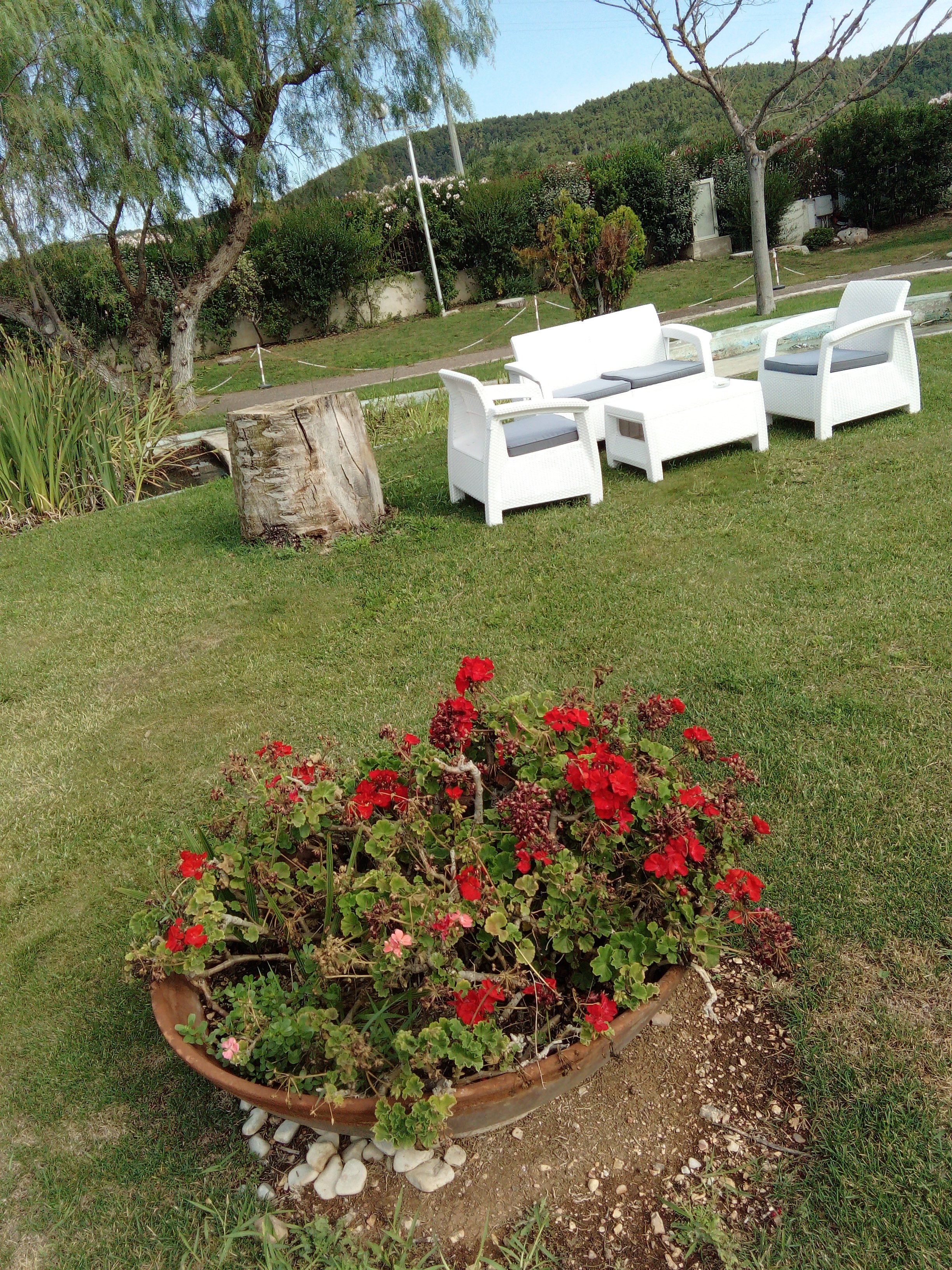 Le Ginestre Hotel Family & Wellness-portrait