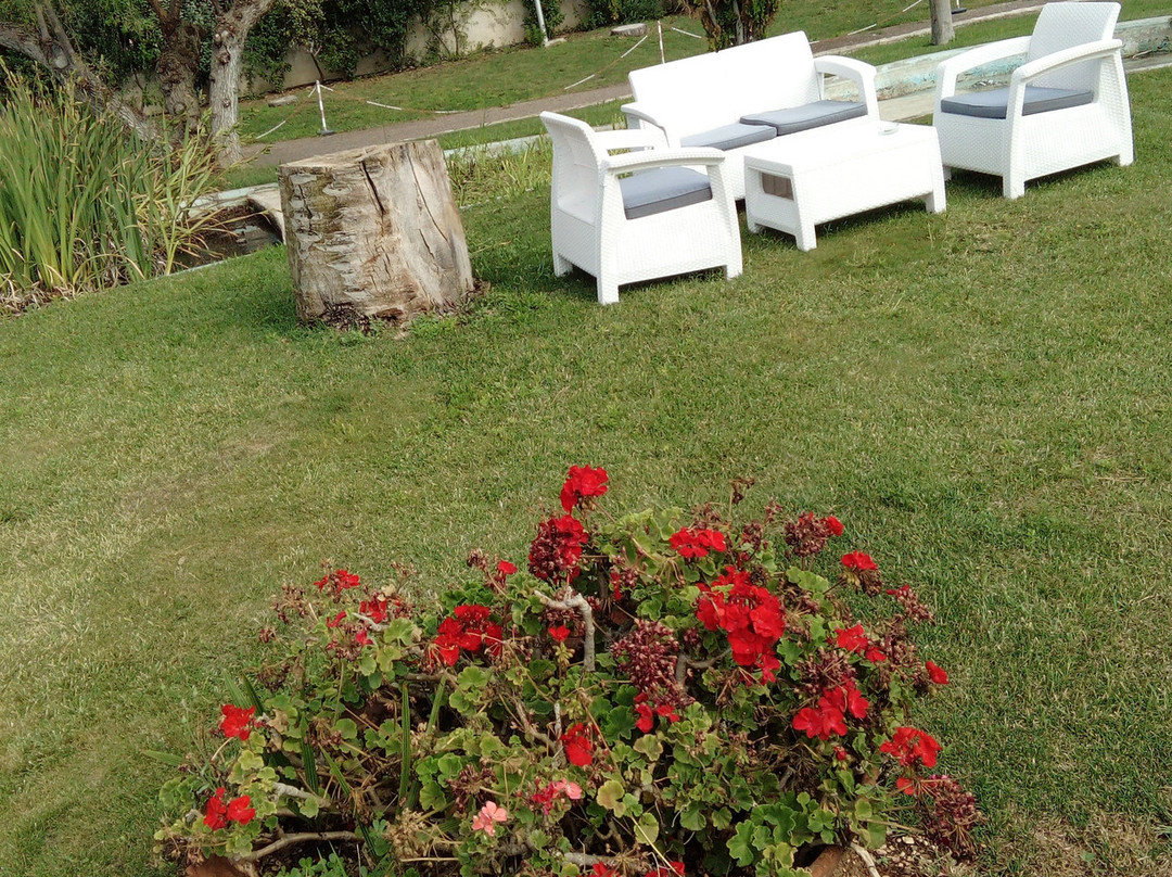 Le Ginestre Hotel Family & Wellness主图