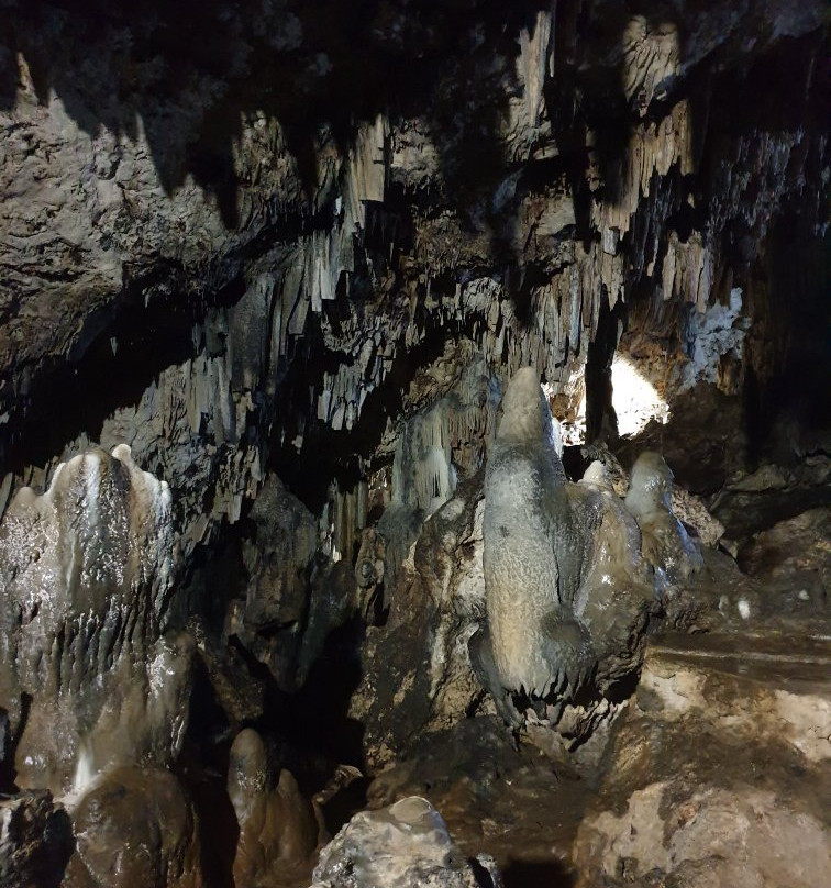 Anahulu Cave - The Underground Swimming Pool景点图片
