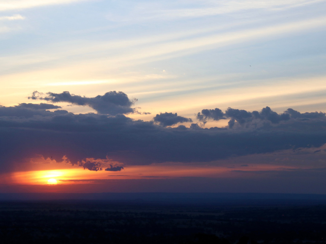 路宝野生动物山林小屋主图