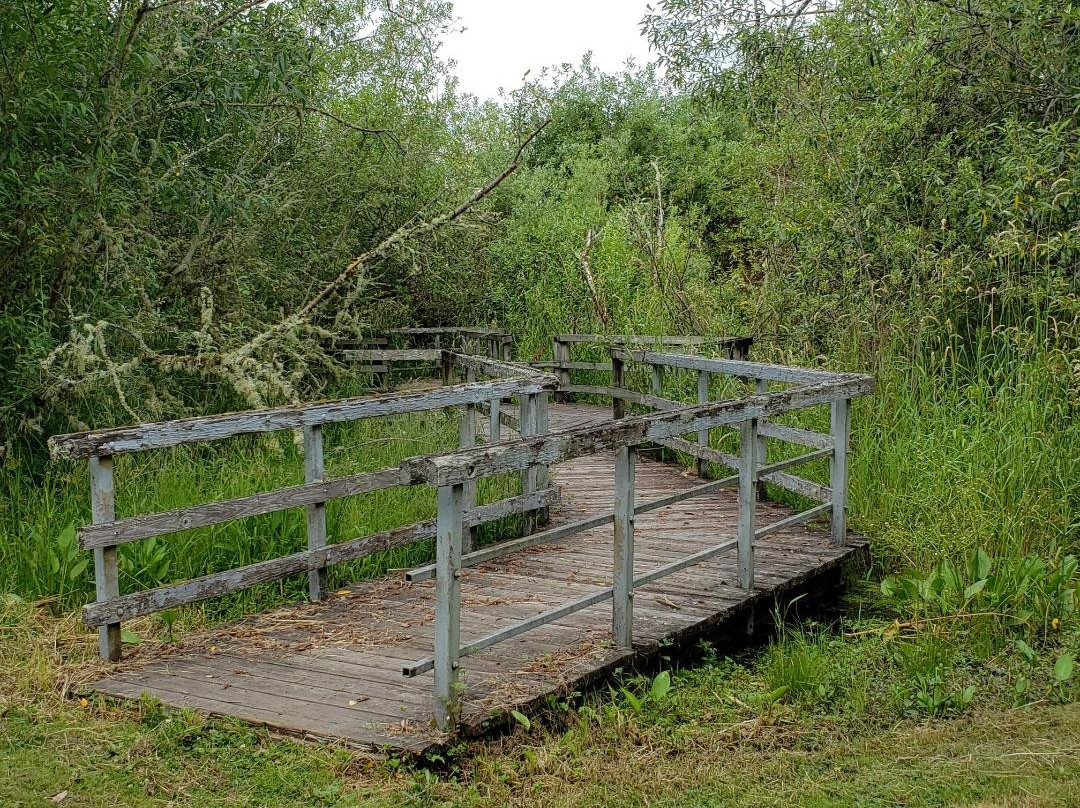 Boulevard Lane Park-肯特必去景点