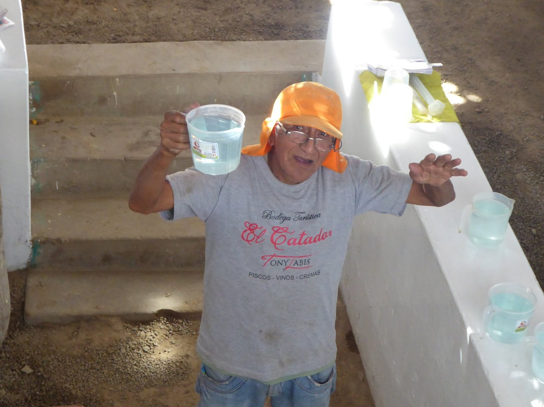 Bodega Tres Generaciones-伊卡必去景点