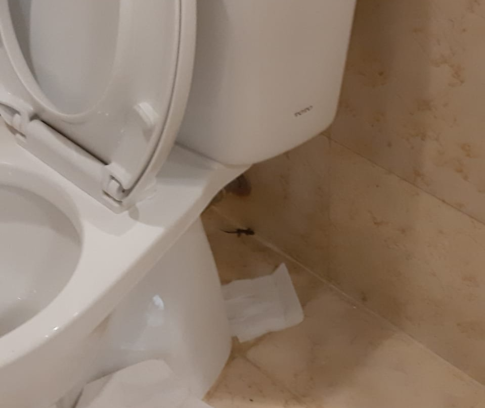 阿利亚杜塔玛纳多酒店主图