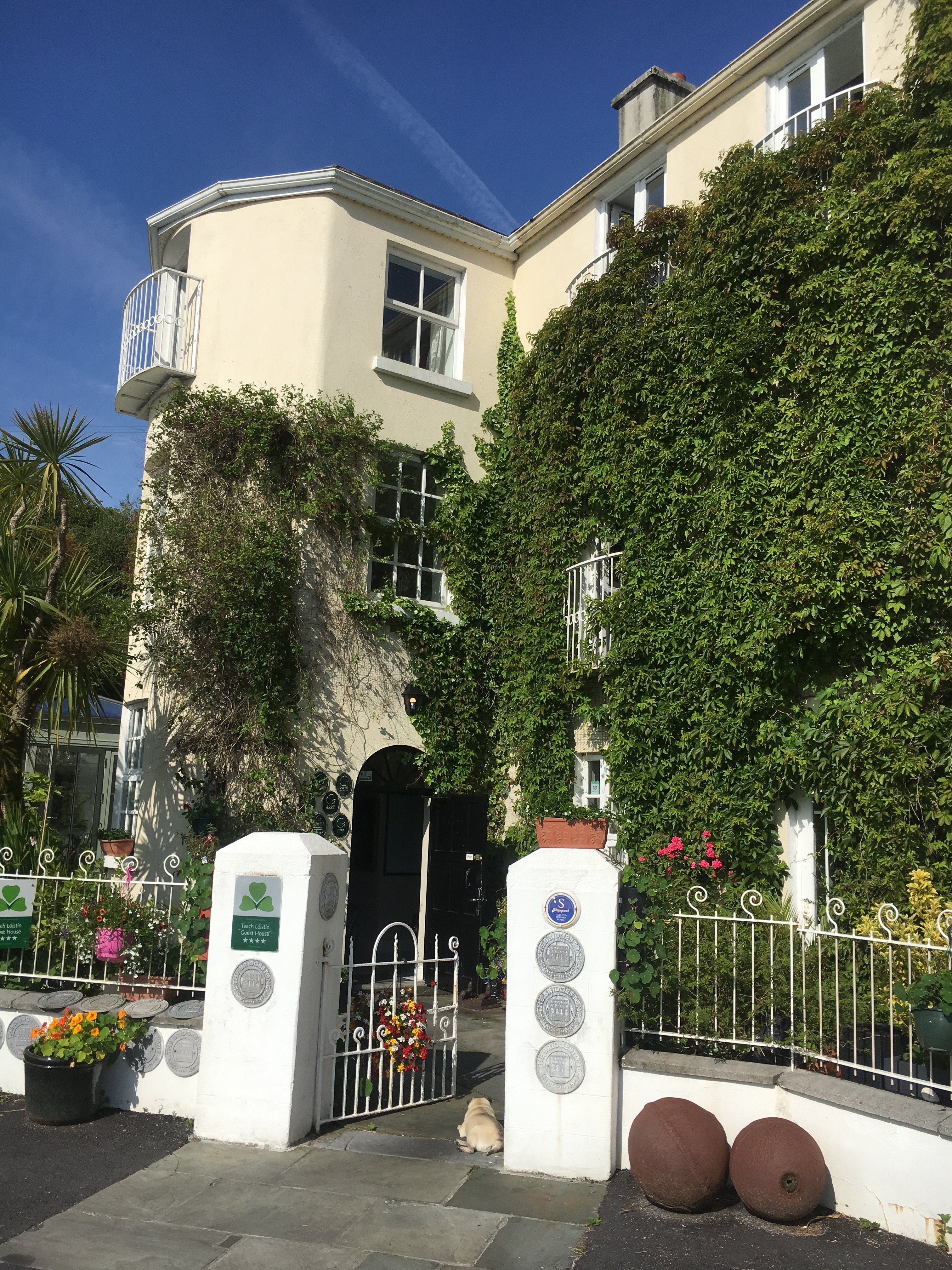 The Quay House-portrait