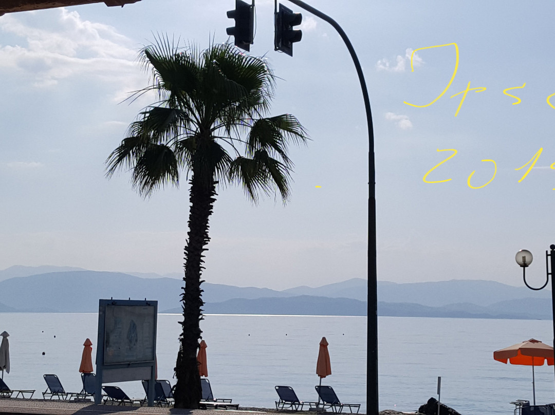 雅尼丝宾馆主图