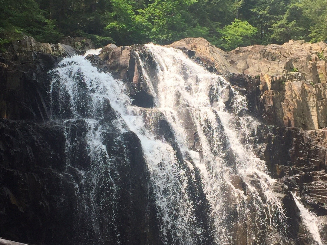 Houston Brook Falls景点图片