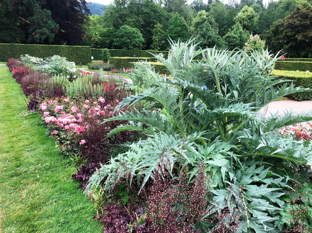 Garten der Rosenneuheiten景点图片